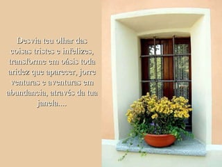Desvia teu olhar das coisas tristes e infelizes, transforme em oásis toda aridez que aparecer, jorre venturas e aventuras em abundancia, através da tua janela.... 