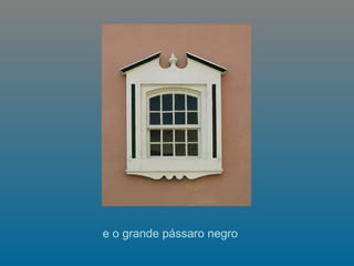 e o grande pássaro negro  