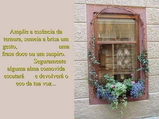 Amplie a essência da ternura, semeia a brisa um gesto,  uma frase doce ou um suspiro.  Seguramente alguma alma comovida escutará  e devolverá o eco da tua voz... 