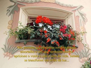 Não permita que nenhuma sombra pesada amortalhe o sol, que nenhuma parede aprisione o vento e cale o som da vida. Jamais se transforme em órfão da luz... 