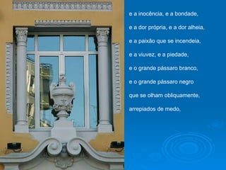 e a inocência, e a bondade,  e a dor própria, e a dor alheia, e a paixão que se incendeia, e a viuvez, e a piedade, e o grande pássaro branco, e o grande pássaro negro que se olham obliquamente, arrepiados de medo,  