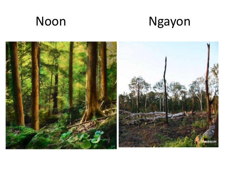 Plantsa Noon At Ngayon Janen