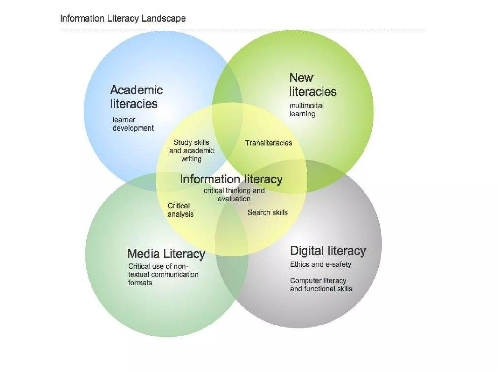 The Information Literacy landscape 