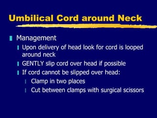 Umbilical Cord around Neck <ul><li>Management </li></ul><ul><ul><li>Upon delivery of head look for cord is looped around n...