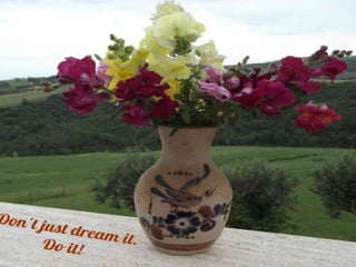 @janetbianchini VRT6 29
 