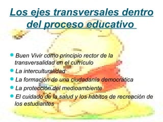 Los ejes transversales dentro 
   del proceso educativo 

Buen Vivir como principio rector de la
 transversalidad en el currículo
La interculturalidad
La formación de una ciudadanía democrática
La protección del medioambiente
El cuidado de la salud y los hábitos de recreación de
 los estudiantes
 