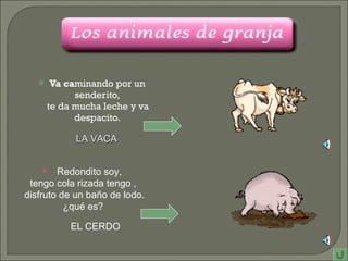 Va   ca minando por un senderito, te da mucha leche y va despacito. Redondito soy,  tengo cola rizada tengo ,  disfruto de un baño de lodo. ¿qué es?  LA VACA EL CERDO 
