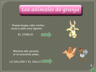 Orejas largas, rabo cortito; corro y salto muy ligerito. EL CONEJO Mientras ella cacarea,  el va buscando pelea. LA GALLINA Y EL GALLO 