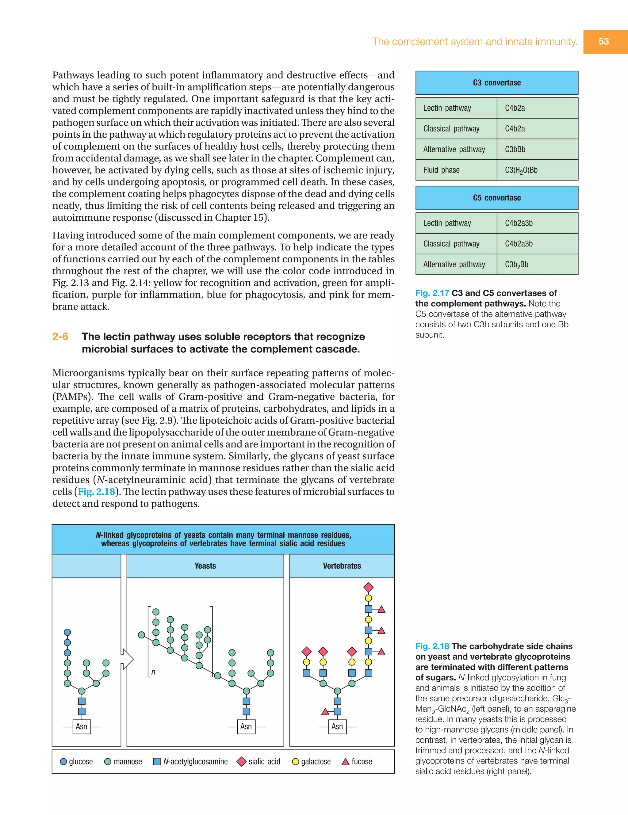 Janeway immunology 9th ( PDFDrive ).pdf