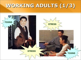 STRESS
STRESS
TOXINS
TOXINS
WORKING ADULTS (1/3)WORKING ADULTS (1/3)
 