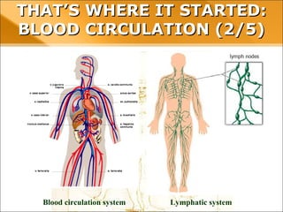 THAT’S WHERE IT STARTED: BLOODTHAT’S WHERE IT STARTED: BLOOD
CIRCULATION (2/5)CIRCULATION (2/5)
Blood circulation system Lymphatic system
 