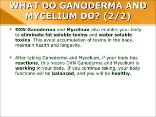 WHAT DO GANODERMA AND MYCELIUM
DO? (2/2)
• DXN Ganoderma and Mycelium also enables your body to eliminate fat
soluble toxins and water soluble toxins. This avoid accumulation of toxins
in the body, maintain health and longevity.
• After taking Ganoderma and Mycelium, if your body has reactions, this
means DXN Ganoderma and Mycelium is working in your body. If you
continue taking, your body functions will be balanced, and you will be
healthy.
 