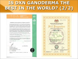 IS DXN GANODERMA THE BEST IN THE
WORLD? (2/2)
 