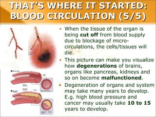 THAT’S WHERE IT STARTED: BLOOD
CIRCULATION (5/5)
• When the tissue of the organ is
being cut off from blood supply
due to blockage of micro-
circulations, the cells/tissues will
die.
• This picture can make you visualize
how degenerations of brains,
organs like pancreas, kidneys and
so on become malfunctioned.
• Degeneration of organs and system
may take many years to develop.
E.g. high blood pressure and
cancer may usually take 10 to 15
years to develop.
 