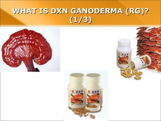 WHAT IS DXN GANODERMA (RG)? (1/3)WHAT IS DXN GANODERMA (RG)? (1/3)
 