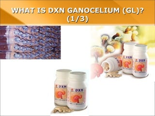 WHAT IS DXN GANOCELIUM (GL)?WHAT IS DXN GANOCELIUM (GL)?
(1/3)(1/3)
 