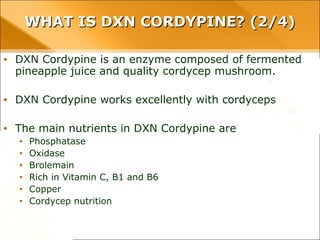 WHAT IS DXN CORDYPINE? (2/4)WHAT IS DXN CORDYPINE? (2/4)
• DXN Cordypine is an enzyme composed of fermented pineapple juice
and quality cordycep mushroom.
• DXN Cordypine works excellently with cordyceps
• The main nutrients in DXN Cordypine are
• Phosphatase
• Oxidase
• Brolemain
• Rich in Vitamin C, B1 and B6
• Copper
• Cordycep nutrition
 