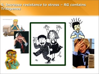 5. Increase resistance to stress – RG contains5. Increase resistance to stress – RG contains
TritepenesTritepenes
 