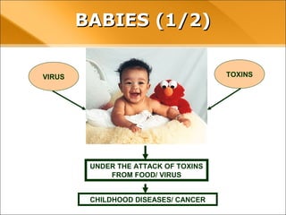 TOXINS
UNDER THE ATTACK OF TOXINS
FROM FOOD/ VIRUS
CHILDHOOD DISEASES/ CANCER
VIRUS
BABIES (1/2)
 