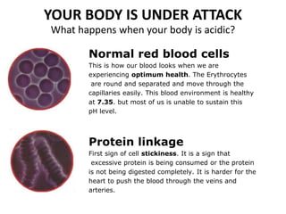 YOUR BODY IS UNDER ATTACK
What happens when your body is acidic?
Normal red blood cells
This is how our blood looks when we are
experiencing optimum health. The Erythrocytes
are round and separated and move through the
capillaries easily. This blood environment is healthy
at 7.35. but most of us is unable to sustain this
pH level.
Protein linkage
First sign of cell stickiness. It is a sign that
excessive protein is being consumed or the protein
is not being digested completely. It is harder for the
heart to push the blood through the veins and
arteries.
 