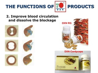 2. Improve blood circulation
and dissolve the blockage
DXN Cordyceps
DXN RG
THE FUNCTIONS OF PRODUCTS
 