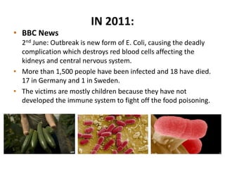IN 2011:
• BBC News
2nd June: Outbreak is new form of E. Coli, causing the deadly
complication which destroys red blood cells affecting the
kidneys and central nervous system.
• More than 1,500 people have been infected and 18 have died.
17 in Germany and 1 in Sweden.
• The victims are mostly children because they have not
developed the immune system to fight off the food poisoning.
 