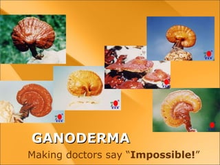 GANODERMA Making doctors say “ Impossible! ” 