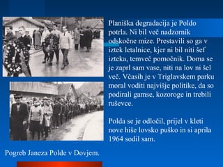 Planiška degradacija je Poldo
potrla. Ni bil več nadzornik
odskočne mize. Prestavili so ga v
iztek letalnice, kjer ni bil niti šef
izteka, temveč pomočnik. Doma se
je zaprl sam vase, niti na lov ni šel
več. Včasih je v Triglavskem parku
moral voditi najvišje politike, da so
podirali gamse, kozoroge in trebili
ruševce.
Polda se je odločil, prijel v kleti
nove hiše lovsko puško in si aprila
1964 sodil sam.
Pogreb Janeza Polde v Dovjem.
 