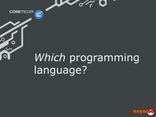 www.coremedia.com© CoreMedia | 30/01/15 | 10
Which programming
language?
 