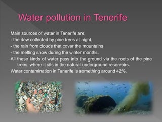 Main sources of water in Tenerife are:
- the dew collected by pine trees at night,
- the rain from clouds that cover the mountains
- the melting snow during the winter months.
All these kinds of water pass into the ground via the roots of the pine
trees, where it sits in the natural underground reservoirs.
Water contamination in Tenerife is something around 42%.
 