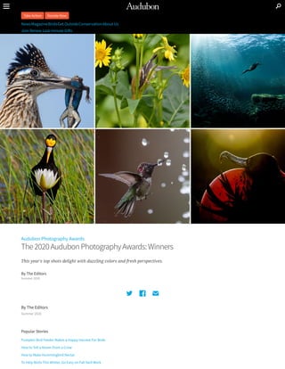 Audubon Photography Awards
The2020AudubonPhotographyAwards:Winners
This year's top shots delight with dazzling colors and fresh perspectives.
By The Editors
Summer 2020
c 
b 
a
By The Editors
Summer 2020
Popular Stories
Pumpkin Bird Feeder Makes a Happy Harvest For Birds
How to Tell a Raven From a Crow
How to Make Hummingbird Nectar
To Help Birds This Winter, Go Easy on Fall Yard Work
Join Renew Last-minute Gi s
JTake Action Donate Now
NewsMagazineBirdsGet OutsideConservationAbout Us
 