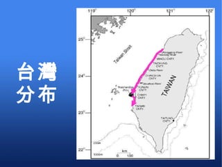 台灣 分布 
