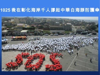 1025 救在彰化海岸千人撐起中華白海豚防護傘 