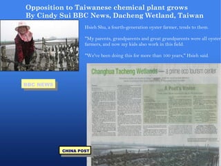Opposition to Taiwanese chemical plant grows By Cindy Sui BBC News, Dacheng Wetland, Taiwan  Hsieh Shu, a fourth-generation oyster farmer, tends to them. "My parents, grandparents and great grandparents were all oyster farmers, and now my kids also work in this field. "We've been doing this for more than 100 years," Hsieh said. CHINA POST BBC NEWS 