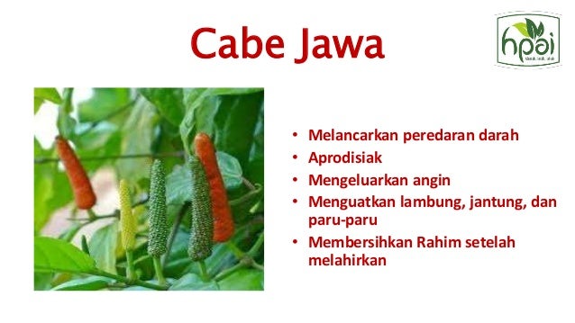 Janna tea hpai teh premium quality teh menyehatkan organik