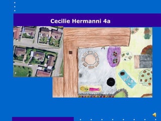 Cecilie Hermanni 4a
 