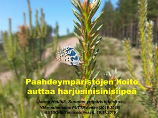 Paahdeympäristöjen hoito
auttaa harjusinisinisiipeä
Janne Heliölä, Suomen ympäristökeskus
YM:n rahoittama PUTTE-hanke (2015-2016)
METSO-tutkimusseminaari, 16.11.2016
 