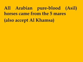 All Arabian pure-blood (Asil)
horses came from the 5 mares
(also accept Al Khamsa)
 