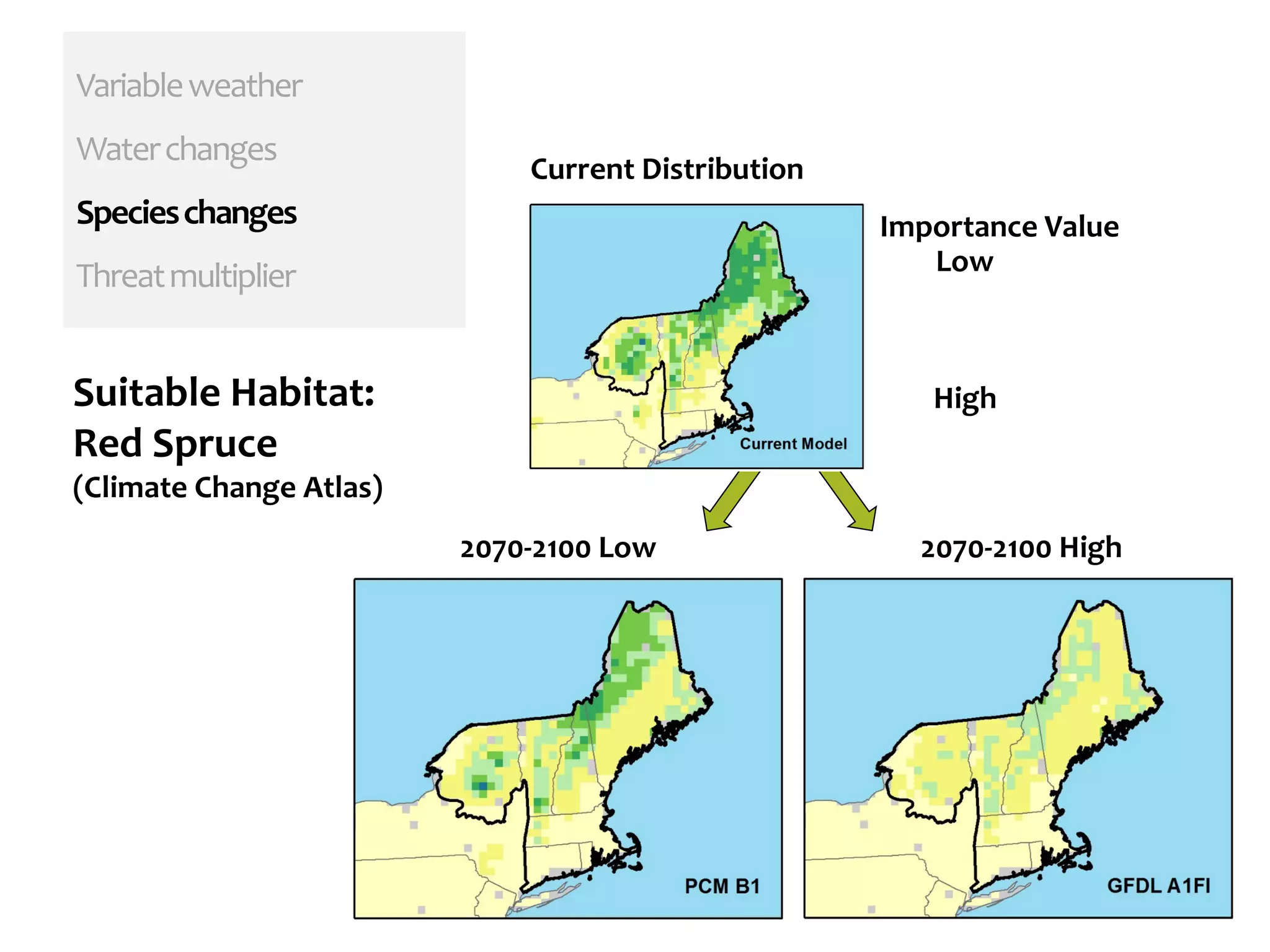 Variableweather
Waterchanges
Specieschanges
Threatmultiplier
2070-2100 Low 2070-2100 High
Current Distribution
Importance Value
Low
HighSuitable Habitat:
Red Spruce
(Climate Change Atlas)
 
