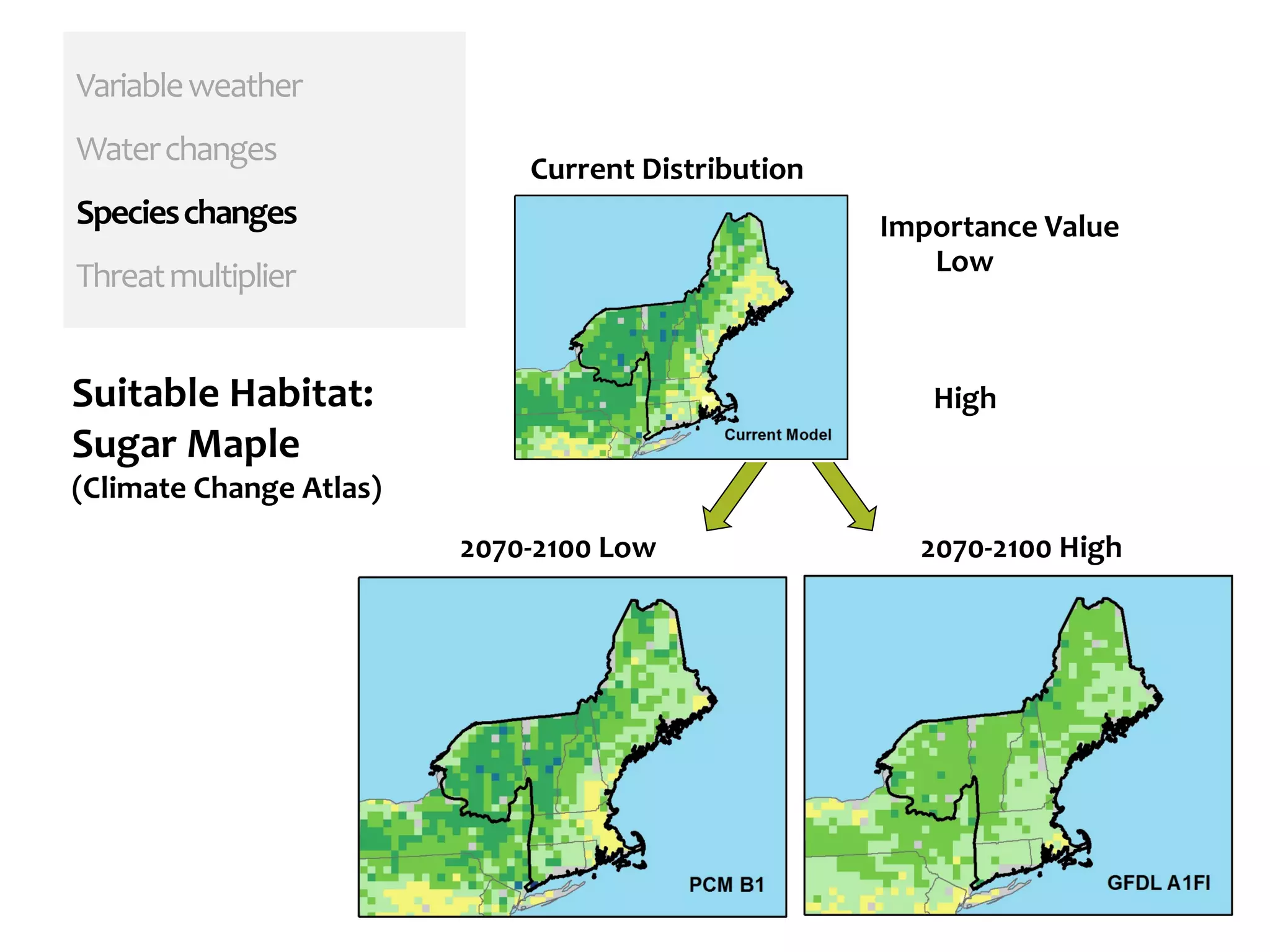 Variableweather
Waterchanges
Specieschanges
Threatmultiplier
2070-2100 Low 2070-2100 High
Current Distribution
Importance Value
Low
HighSuitable Habitat:
Sugar Maple
(Climate Change Atlas)
 