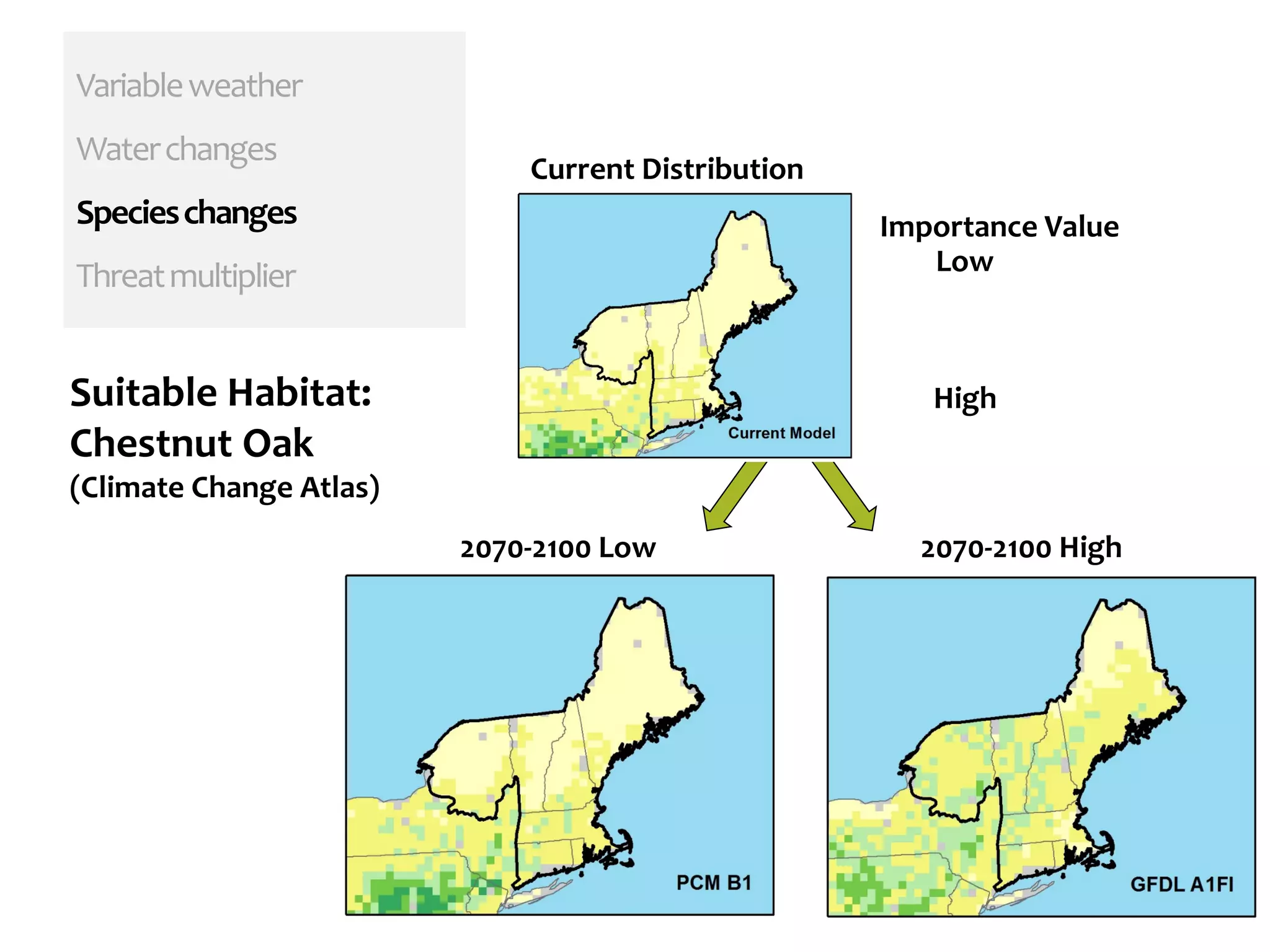 Variableweather
Waterchanges
Specieschanges
Threatmultiplier
2070-2100 Low 2070-2100 High
Current Distribution
Importance Value
Low
HighSuitable Habitat:
Chestnut Oak
(Climate Change Atlas)
 