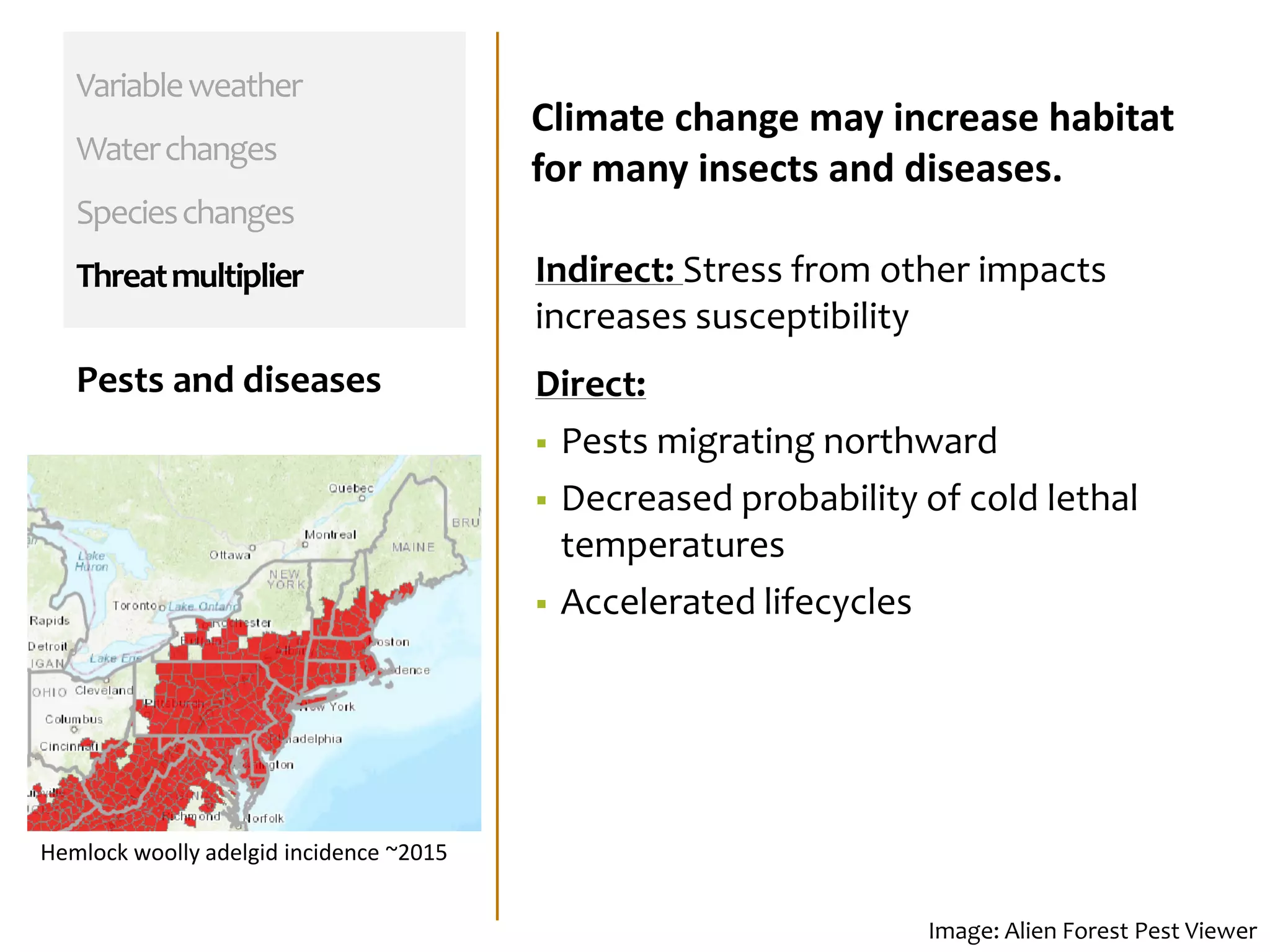 Variableweather
Waterchanges
Specieschanges
Threatmultiplier
Pests and diseases
Image: Alien Forest Pest Viewer
Indirect: Stress from other impacts
increases susceptibility
Direct:
 Pests migrating northward
 Decreased probability of cold lethal
temperatures
 Accelerated lifecycles
Climate change may increase habitat
for many insects and diseases.
Hemlock woolly adelgid incidence ~2015
 