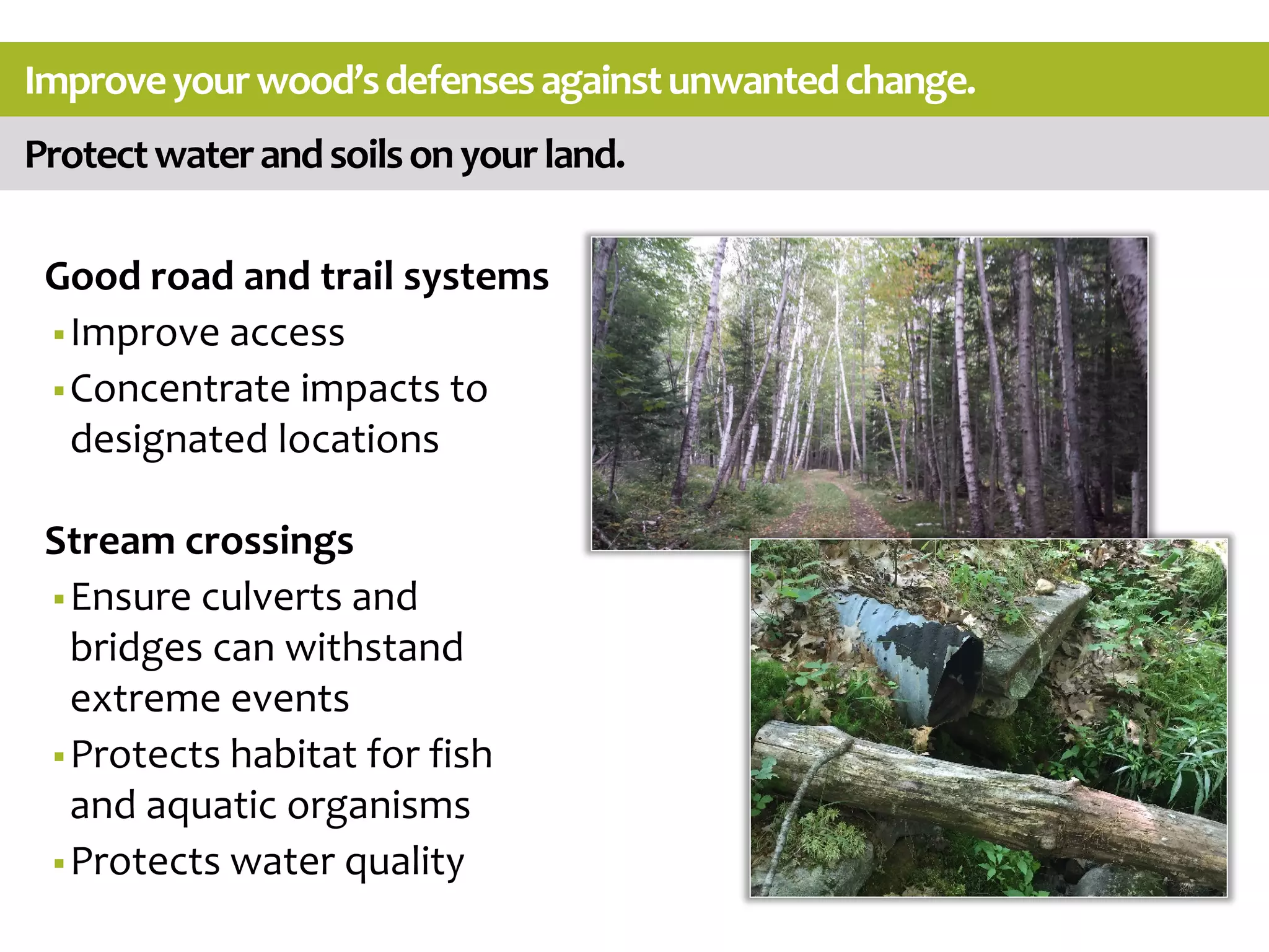 Protectwaterandsoilsonyourland.
Improveyourwood’sdefensesagainstunwantedchange.
Good road and trail systems
Improve access
Concentrate impacts to
designated locations
Stream crossings
Ensure culverts and
bridges can withstand
extreme events
Protects habitat for fish
and aquatic organisms
Protects water quality
 