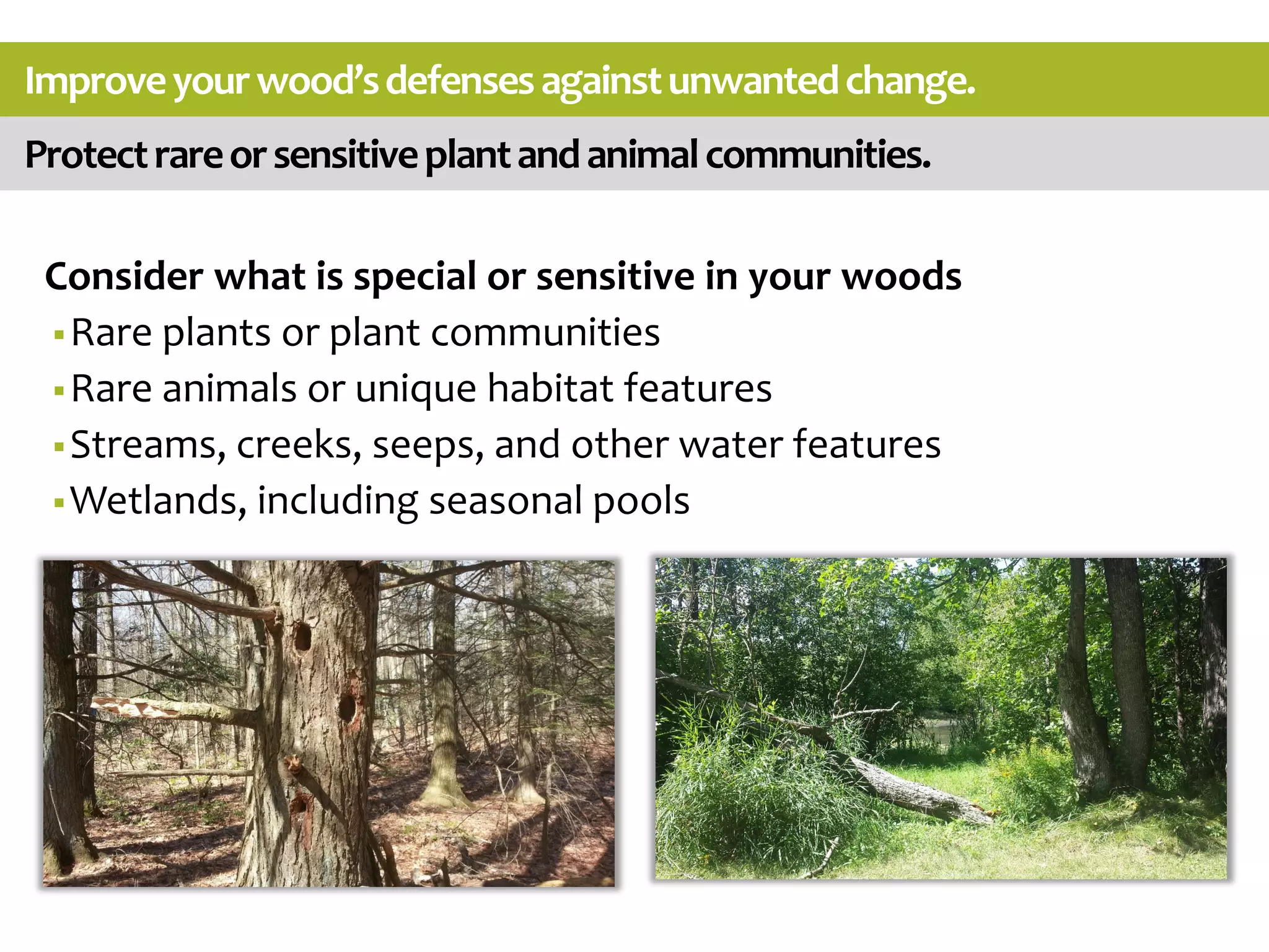 Protectrareorsensitiveplantandanimalcommunities.
Improveyourwood’sdefensesagainstunwantedchange.
Consider what is special or sensitive in your woods
Rare plants or plant communities
Rare animals or unique habitat features
Streams, creeks, seeps, and other water features
Wetlands, including seasonal pools
 
