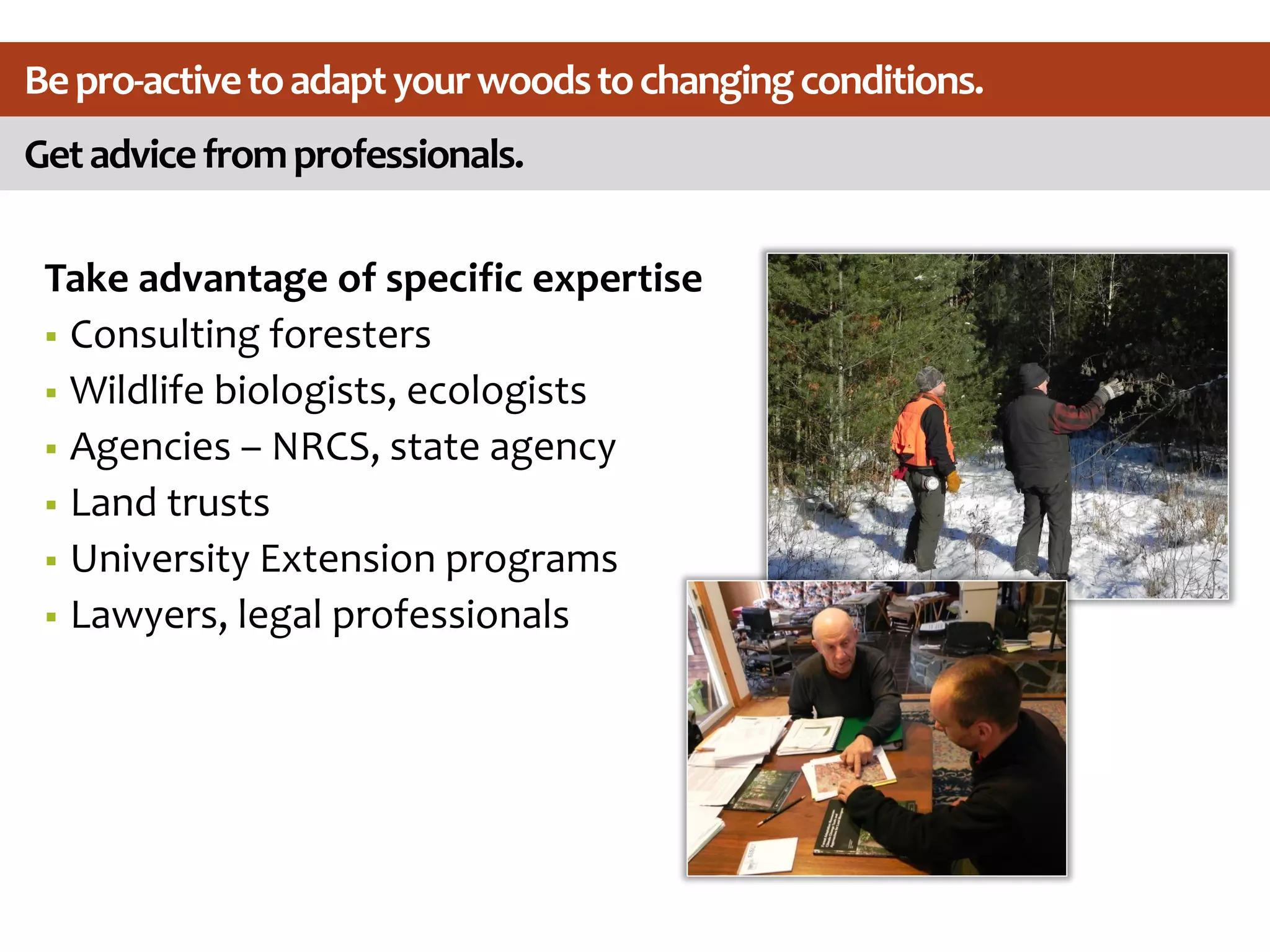 Getadvicefromprofessionals.
Bepro-activetoadaptyourwoodstochangingconditions.
Take advantage of specific expertise
 Consulting foresters
 Wildlife biologists, ecologists
 Agencies – NRCS, state agency
 Land trusts
 University Extension programs
 Lawyers, legal professionals
 