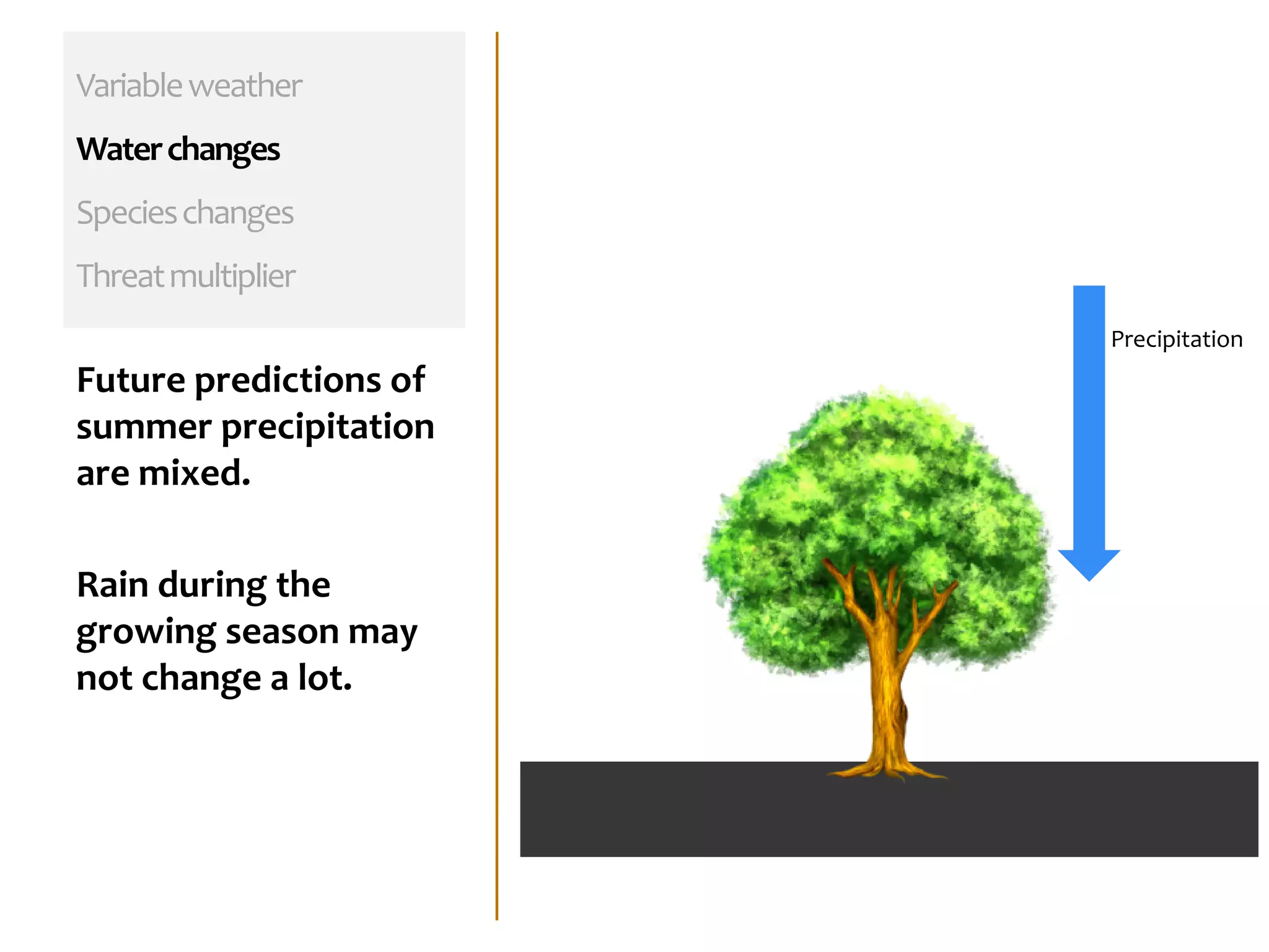 Variableweather
Waterchanges
Specieschanges
Threatmultiplier
Future predictions of
summer precipitation
are mixed.
Rain during the
growing season may
not change a lot.
Precipitation
 