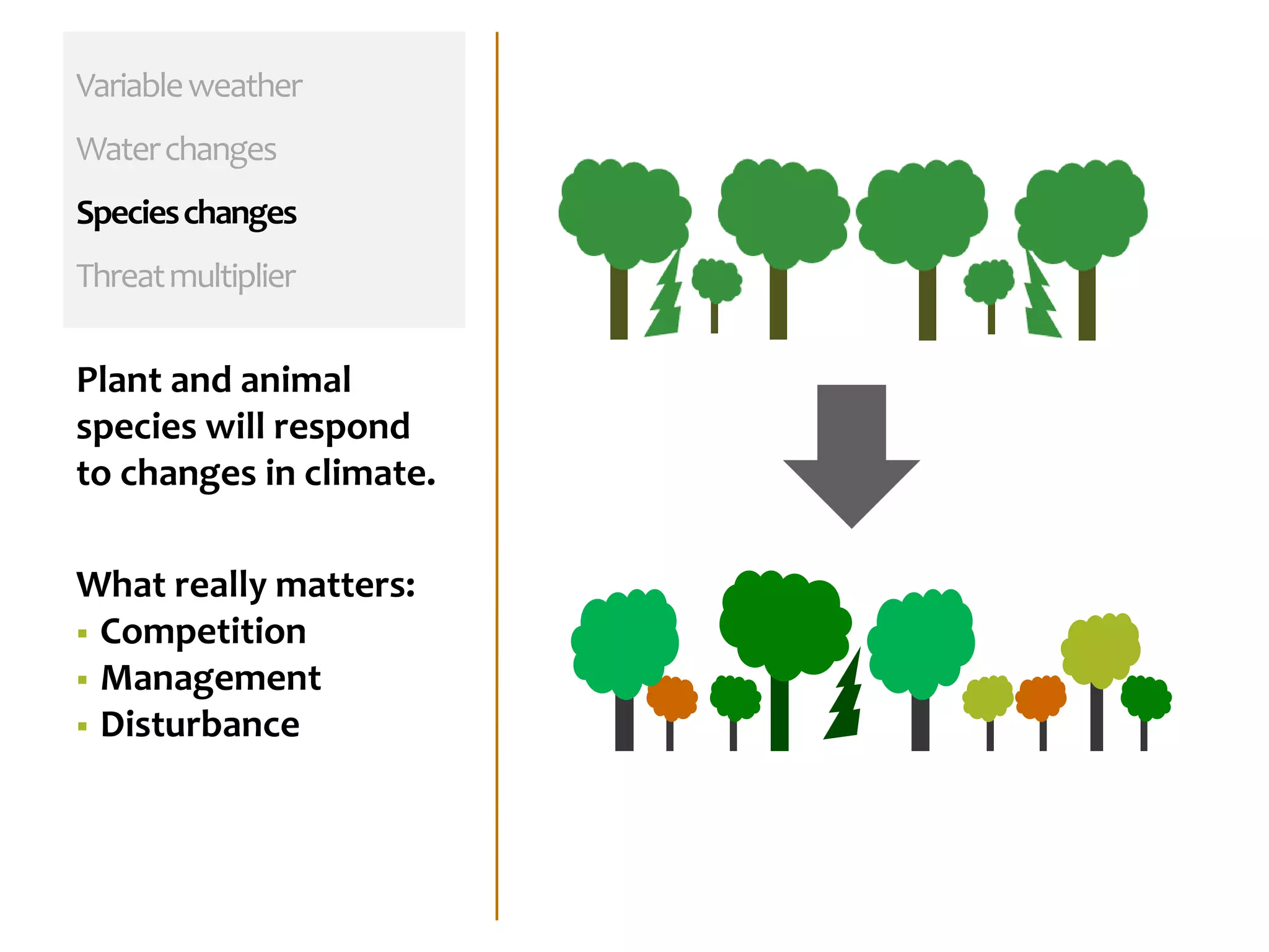 Variableweather
Waterchanges
Specieschanges
Threatmultiplier
Plant and animal
species will respond
to changes in climate.
What really matters:
 Competition
 Management
 Disturbance
 