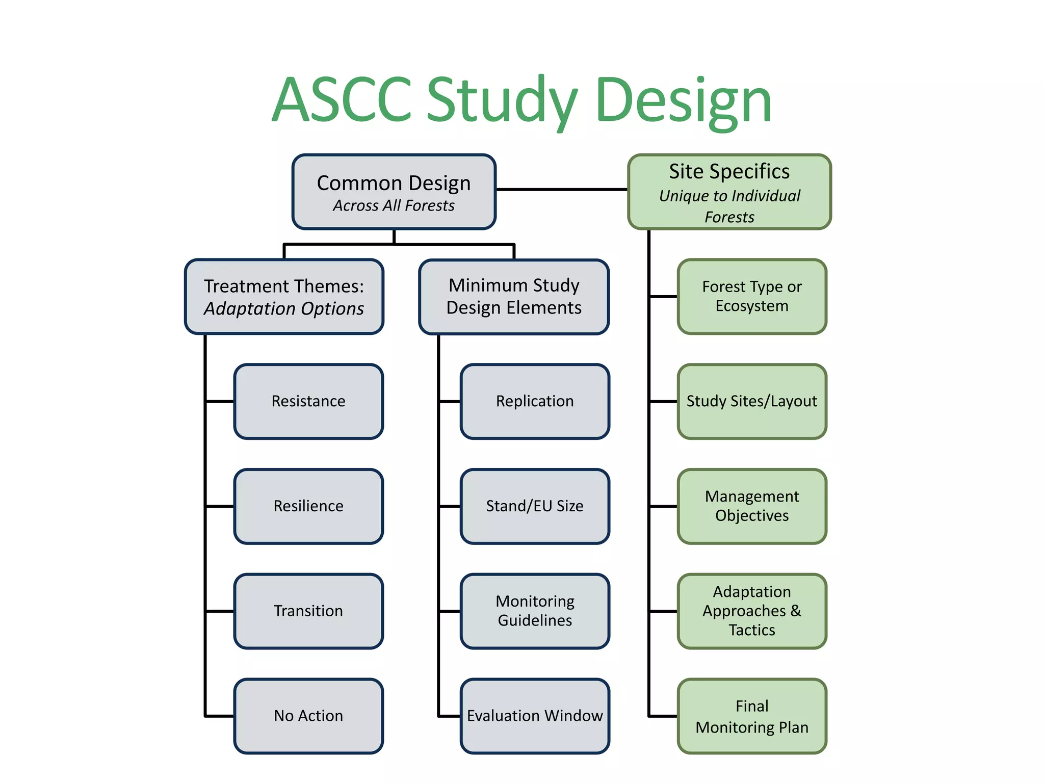 ASCC
Study Design
Common Design
Across All Forests
Treatment Themes:
Adaptation Options
Resistance
Resilience
Transition
No Action
Minimum Study
Design Elements
Replication
Stand/EU Size
Monitoring
Guidelines
Evaluation Window
Site Specifics
Unique to Individual
Forests
Forest Type or
Ecosystem
Study Sites/Layout
Management
Objectives
Adaptation
Approaches &
Tactics
Final
Monitoring Plan
ASCC Study Design
 