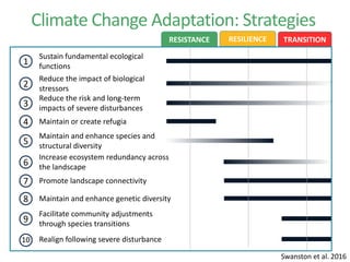 Integrating Climate Change and Forest Adaptation | PDF