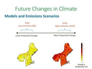 Understanding Forest Vulnerability to Climate Change | PDF